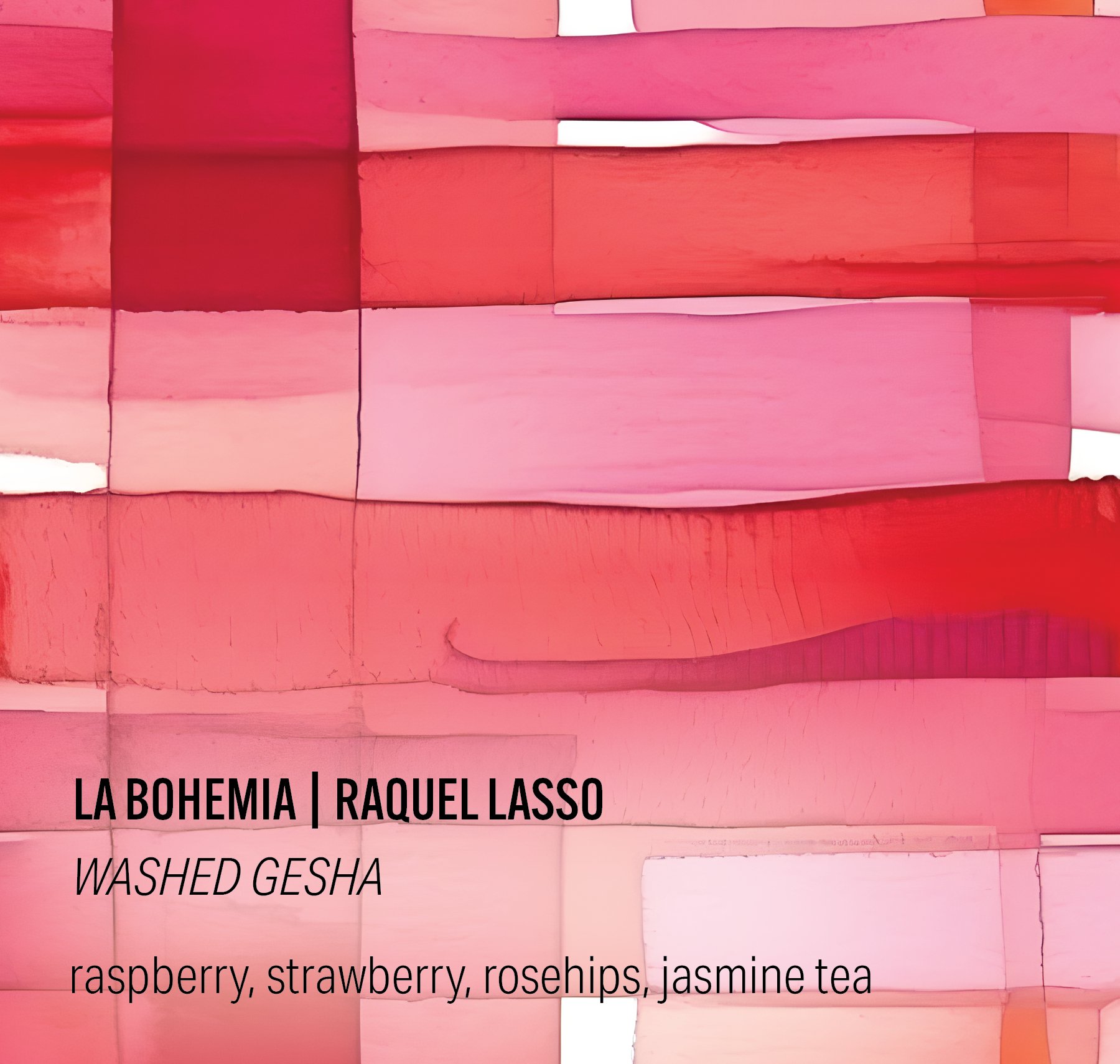 Raquel Lasso Washed Gesha - La Bohemia - Colombia (Brian Quan collaboration)