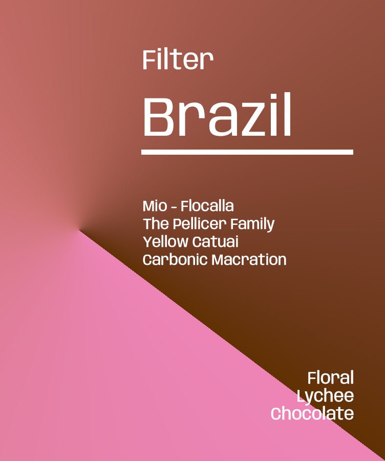 Brazil Fazenda Mio Flocalla - Rare/exclusive Filter