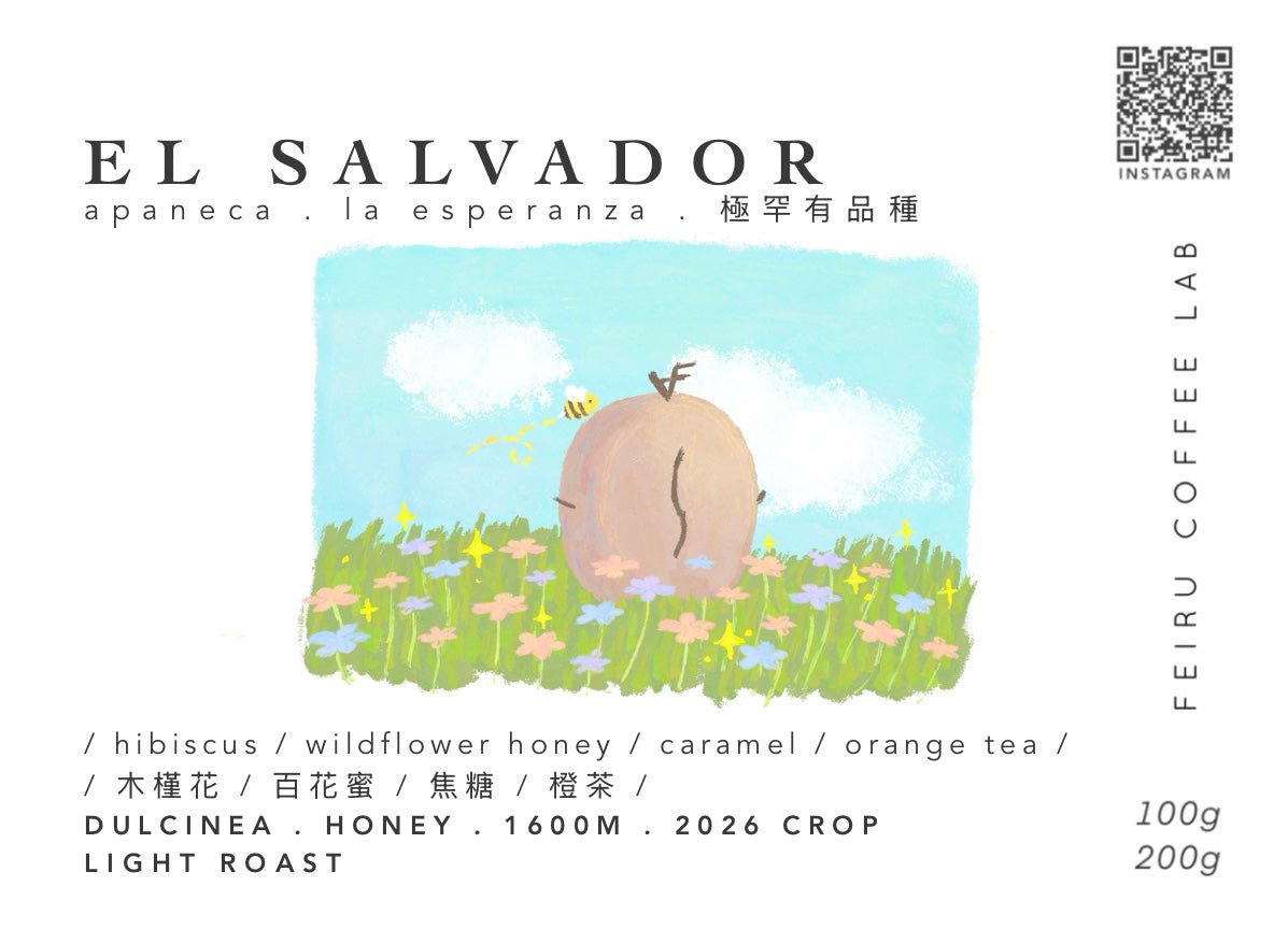 [稀有品種] EL SALVADOR • ㅣ木槿花ㅣ百花蜜ㅣ焦糖ㅣ橙茶ㅣ• honey • dulcinea