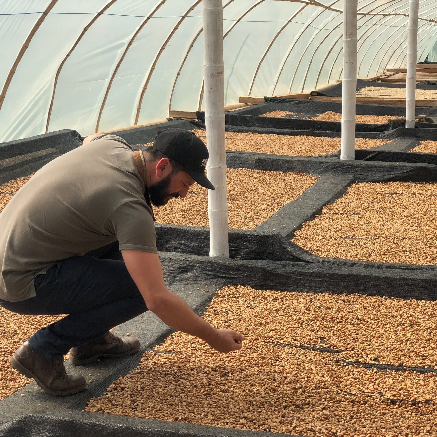 Colombia Finca Milan【Nitro】