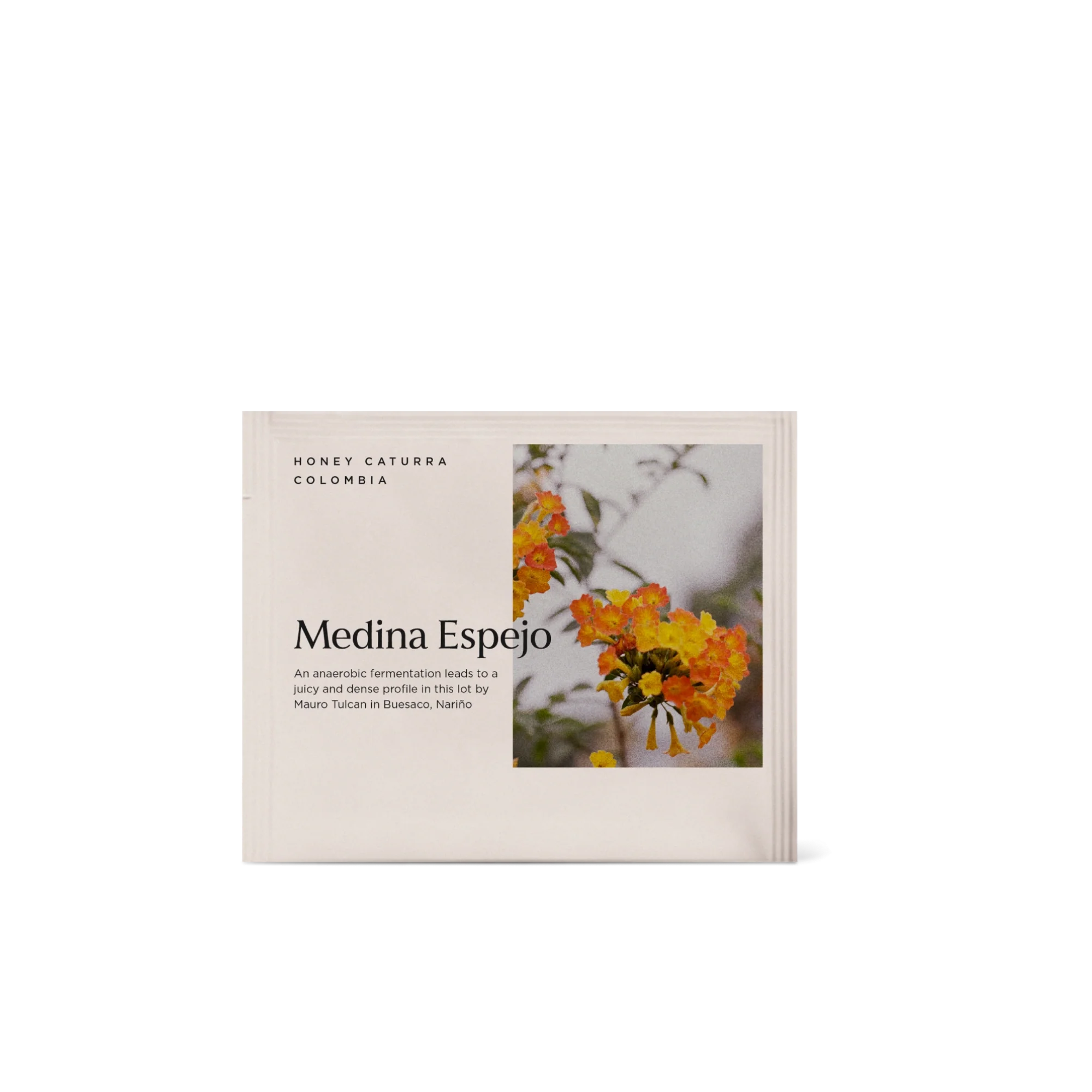 Medina Espejo - Steeped