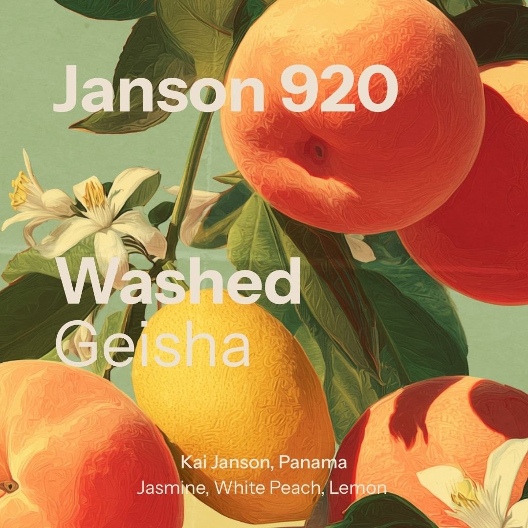 Janson Alpes - Geisha Washed 920 - Chiriqui (Panama)