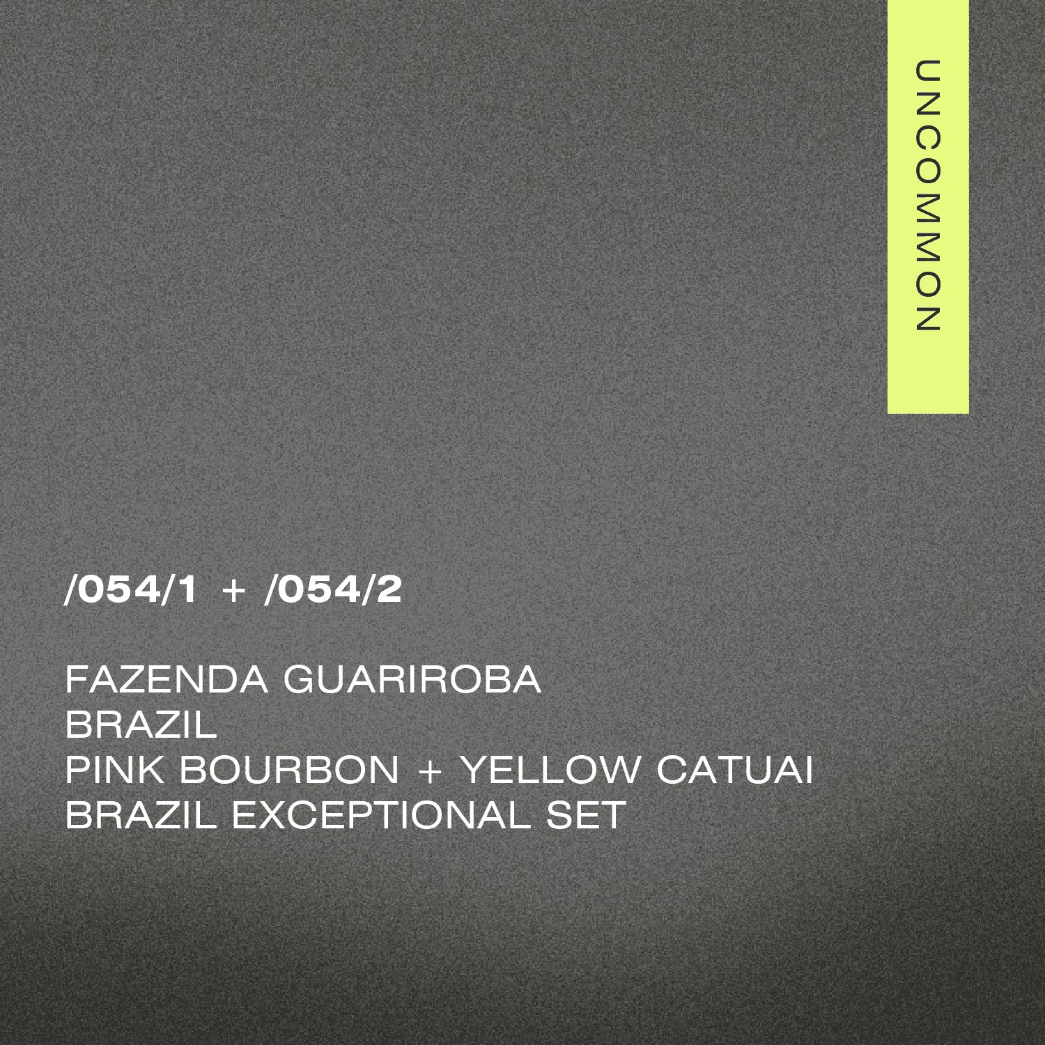 /054 Brazil Exceptional set — Fazenda Guariroba