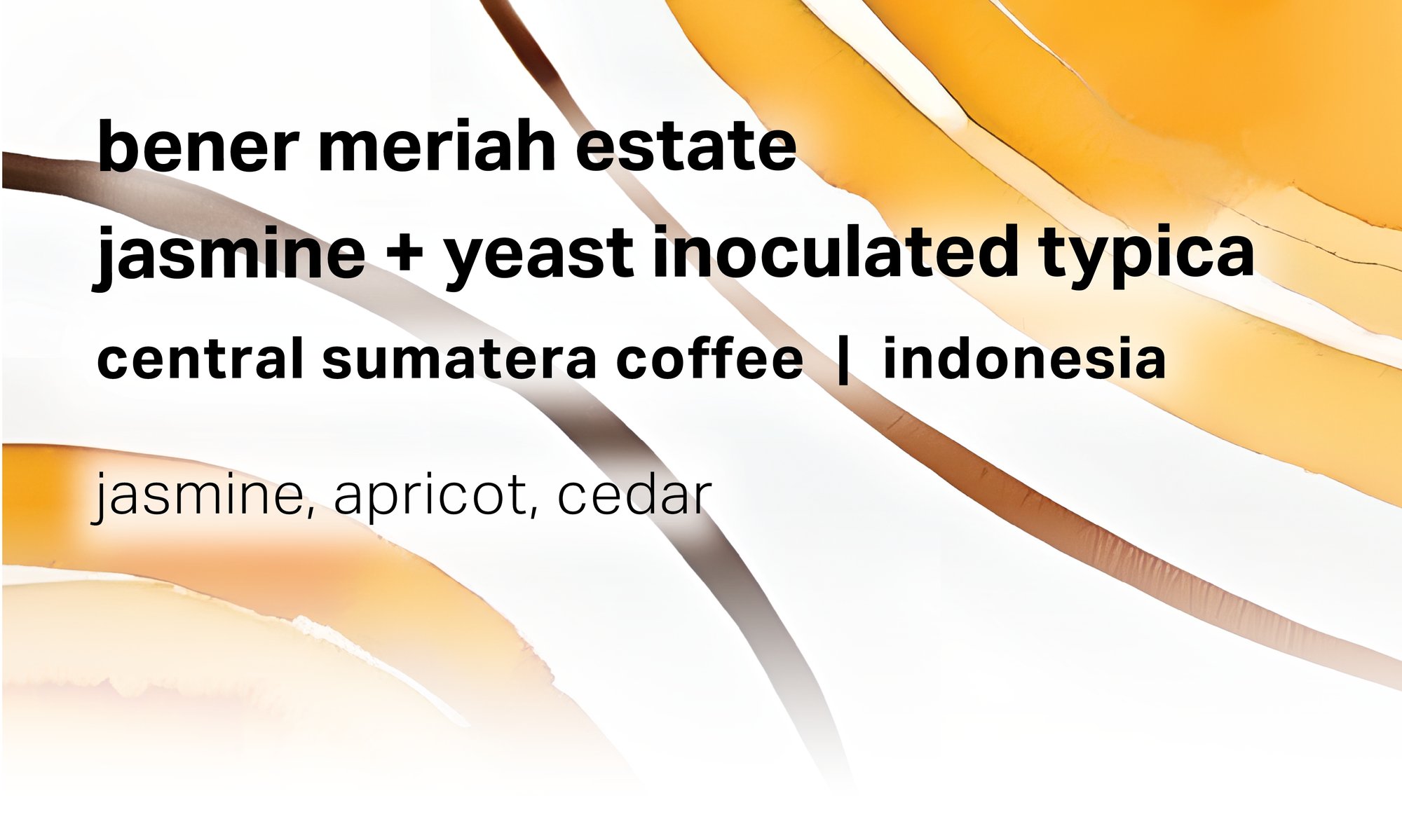 Central Sumatera Coffee Bener Meriah Estate - Jasmine + Yeast Inoculated Wet-Hulled Typica - Indonesia