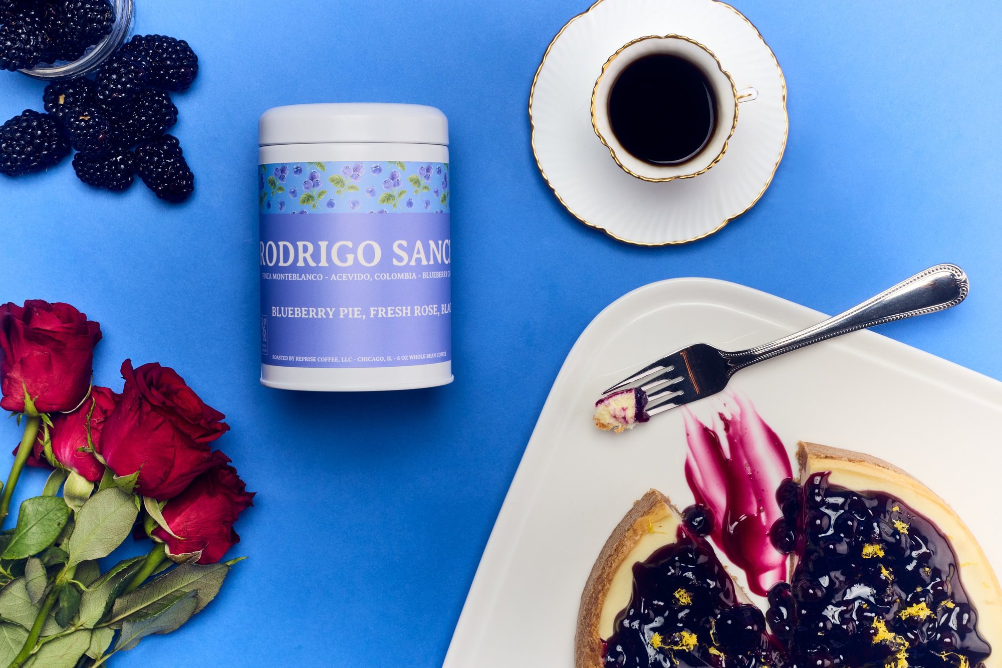 Rodrigo Sanchez [Blueberry Co-ferment]