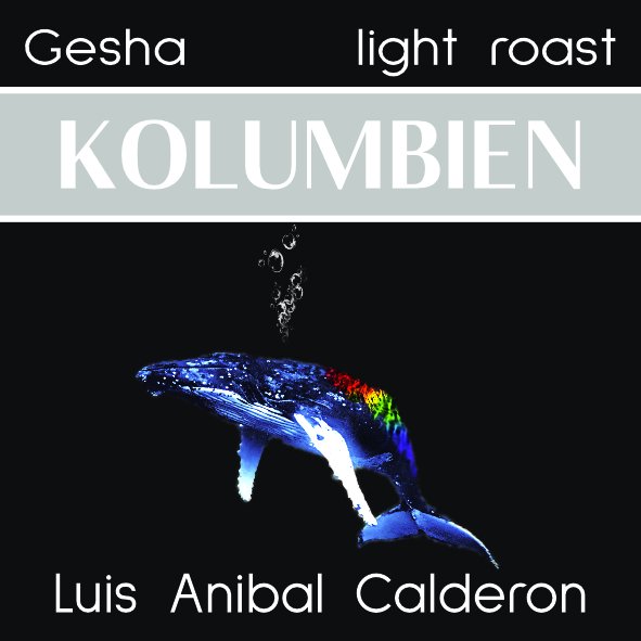 Kolumbien | Gesha | Luis Anibal Calderon