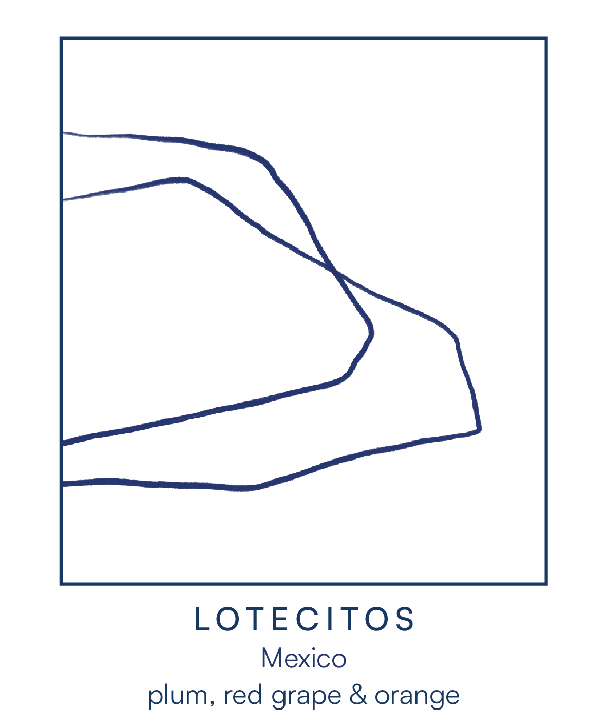 LOTECITOS