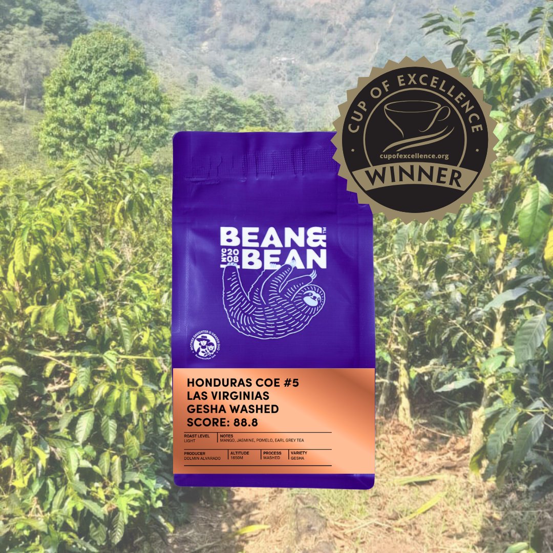 Honduras Cup of Excellence #5 Gesha Washed [Score 88.88]