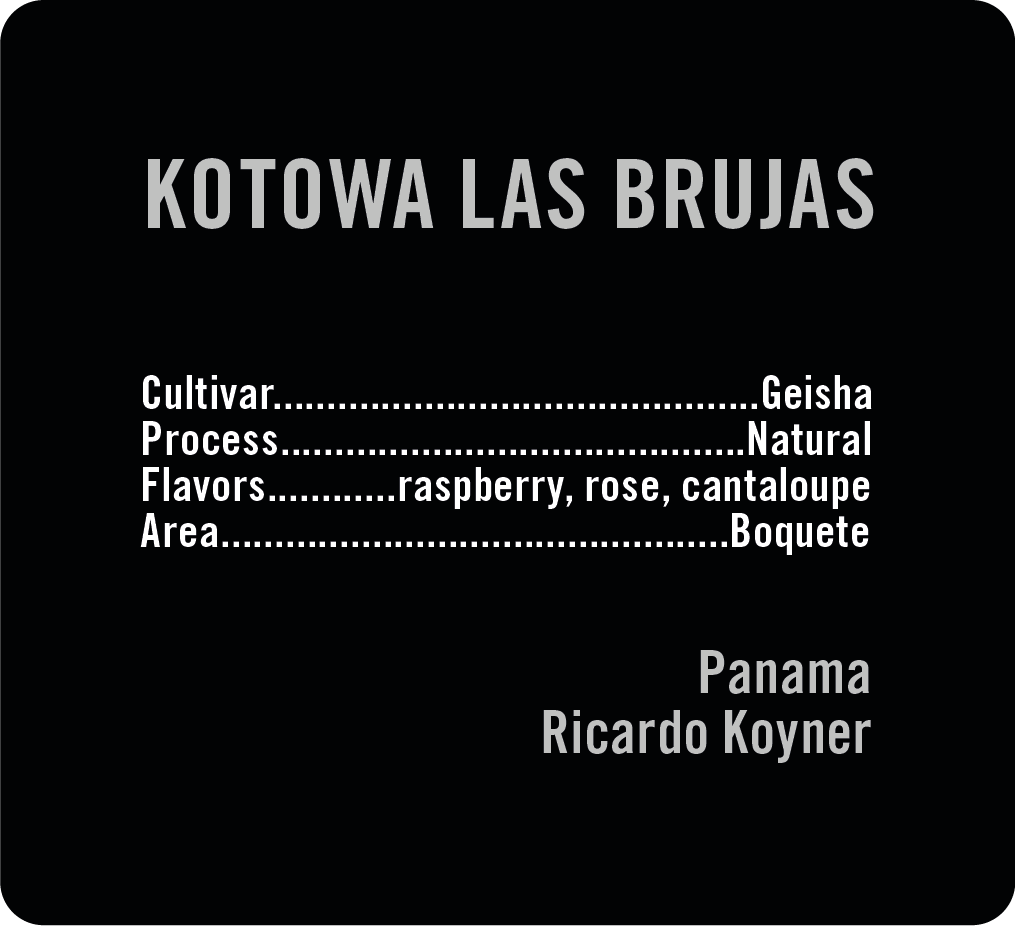 Kotowa Las Brujas Geisha