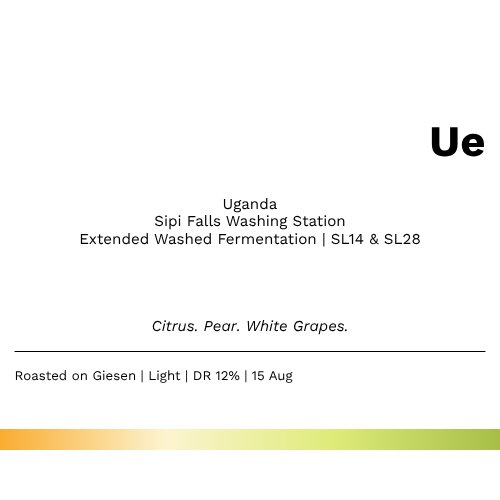 Ue - Uganda Arabica Sipi Falls Extended Washed Fermentation