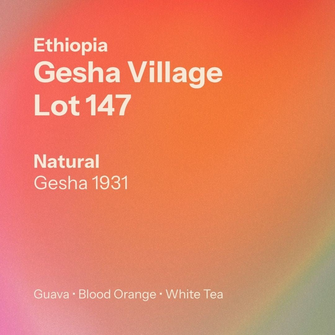 Gesha Village - Lot 147 - Natural Gesha 1931 (Ethiopia)