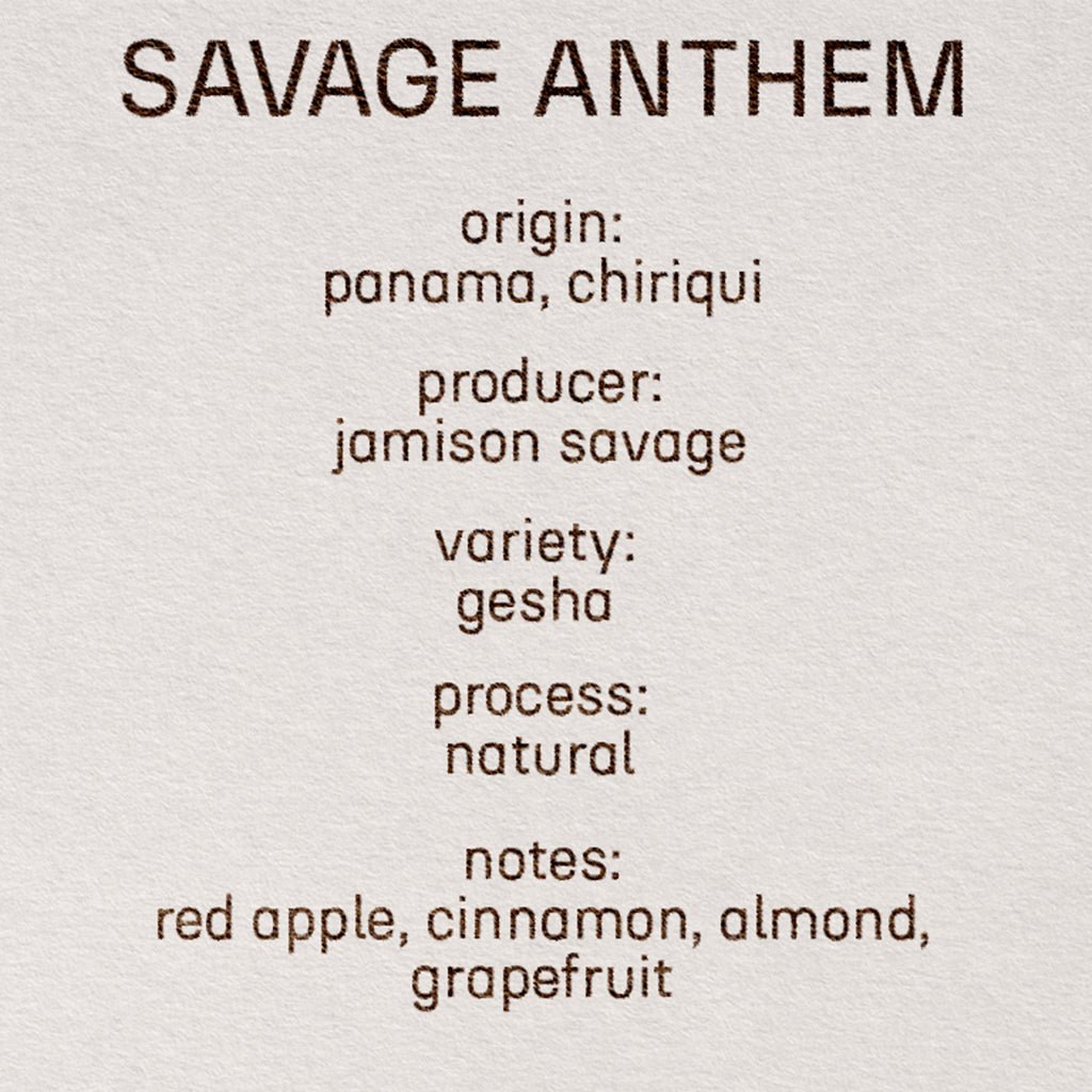 savage - anthem