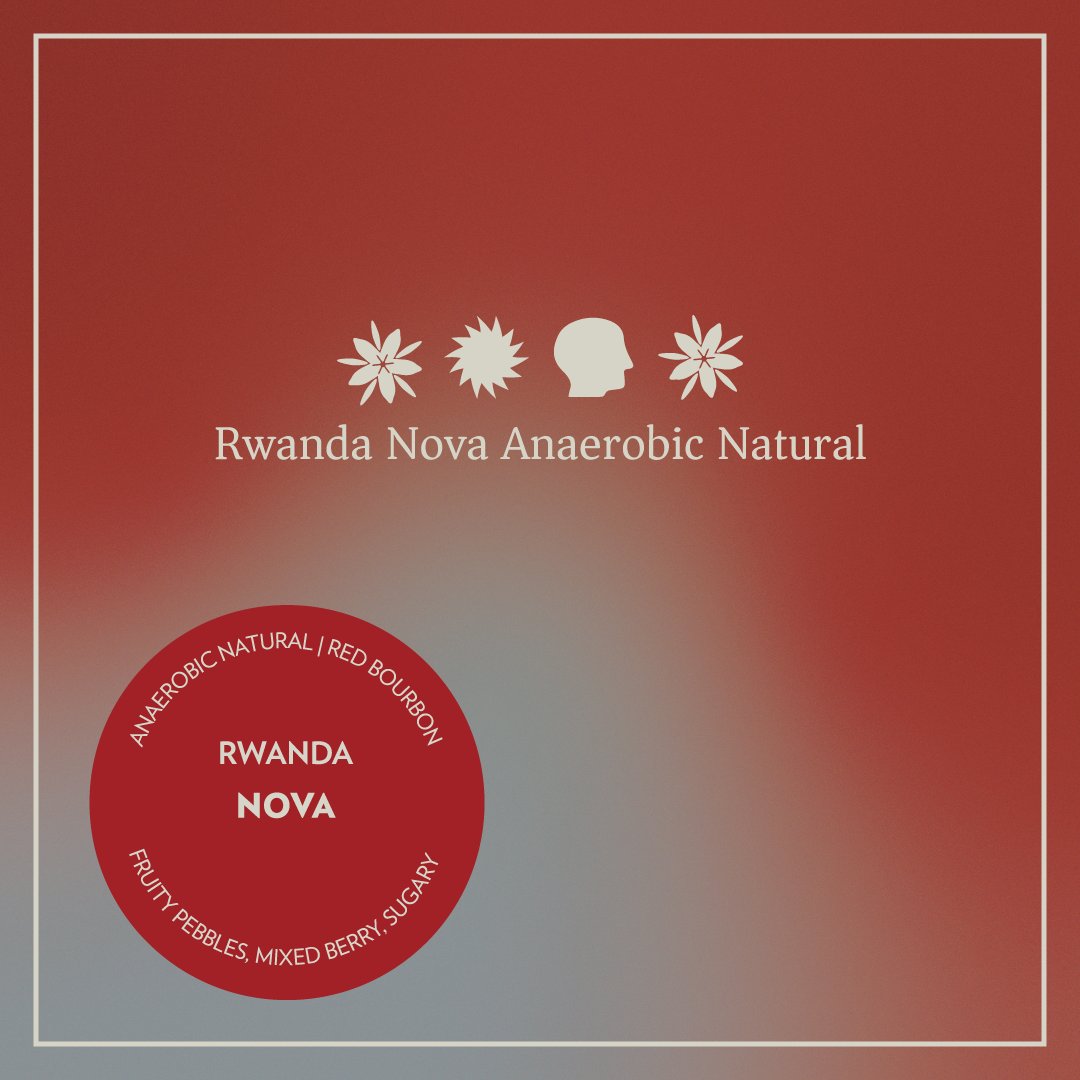 Rwanda - Nova Washing Station - Anaerobic Natural Red Bourbon