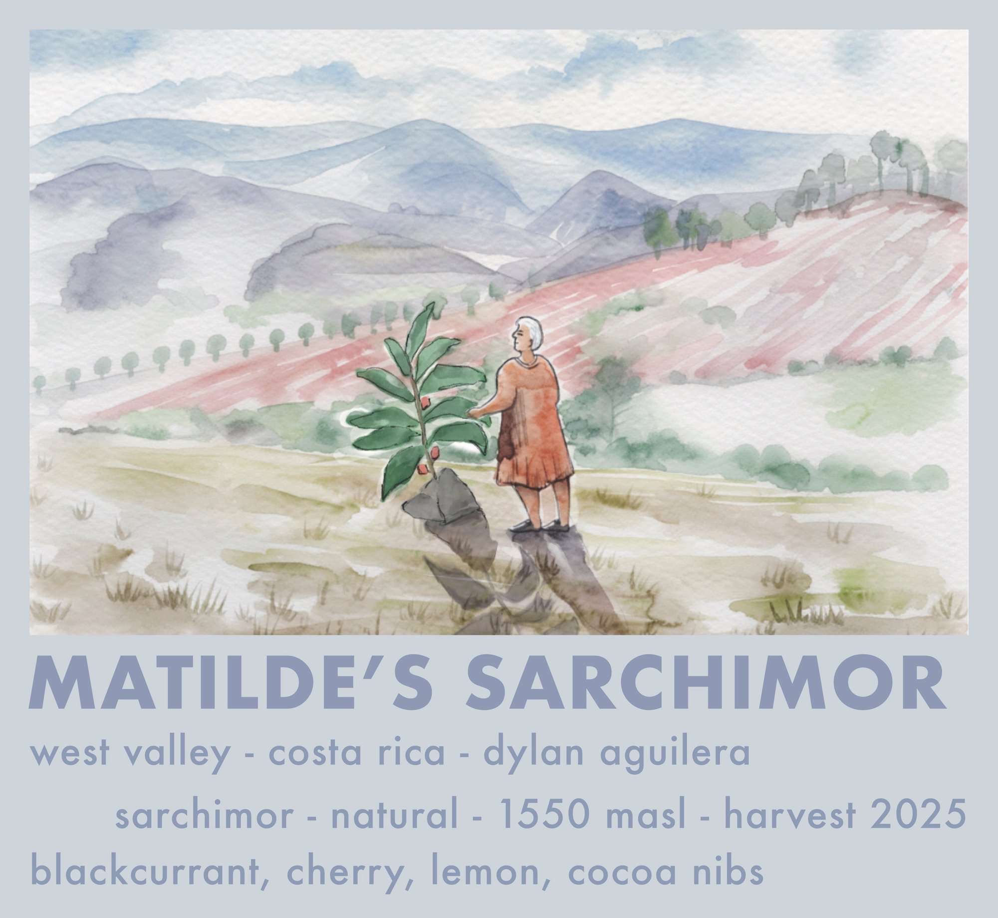 MATILDE'S SARCHIMOR