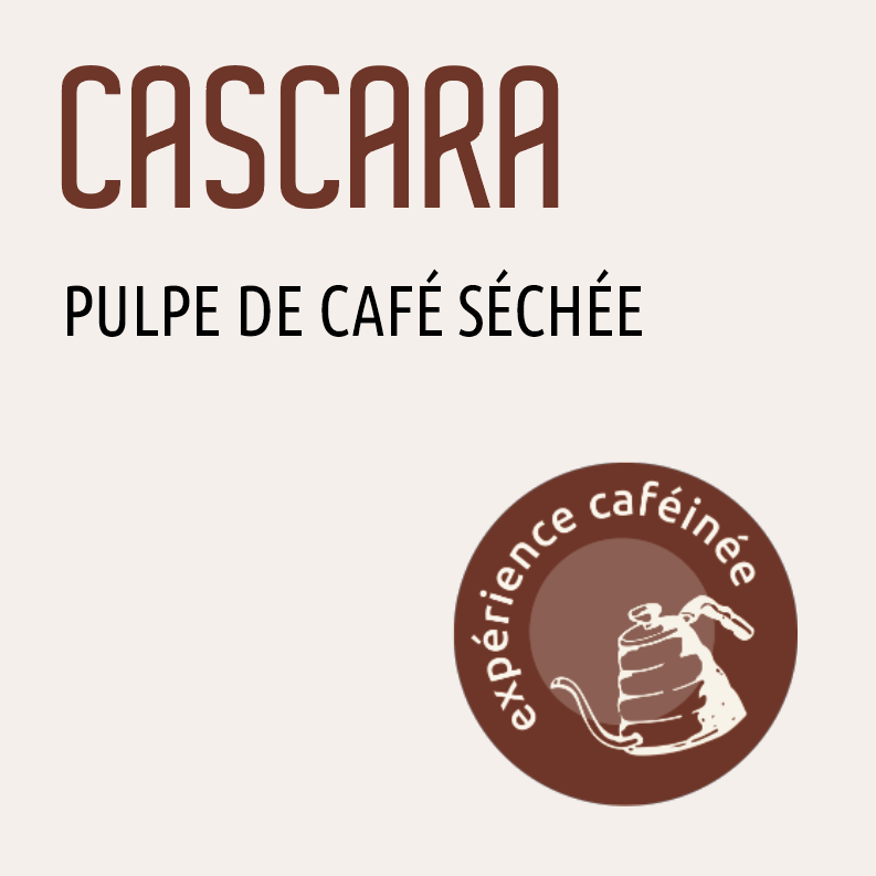 Cascara – Pulpe de café séchée