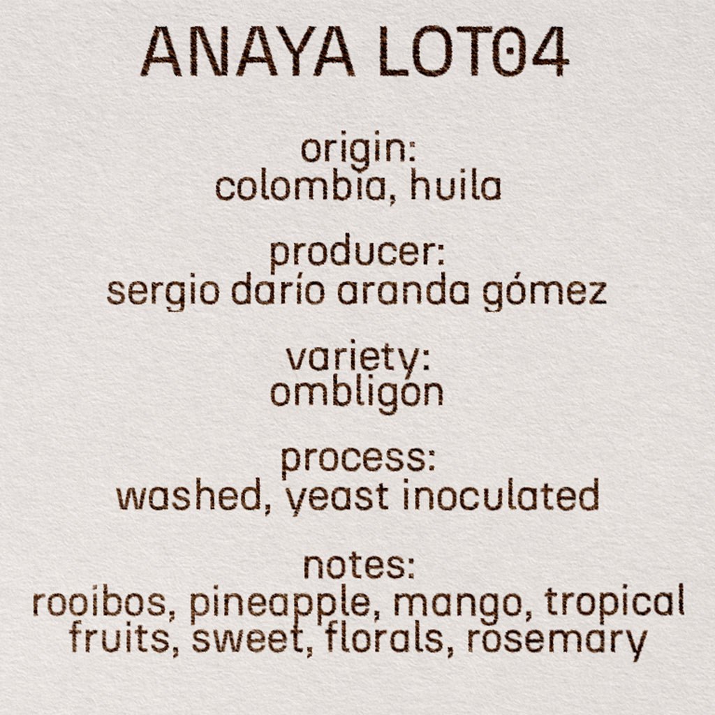 ANAYA LOT04