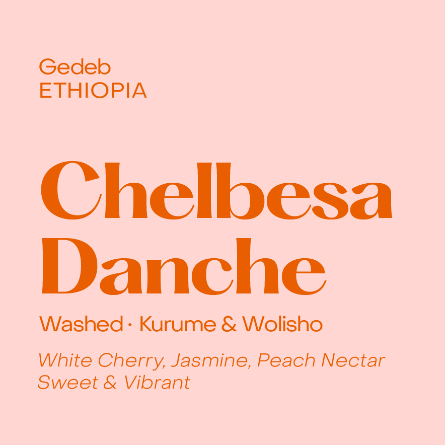 Ethiopia Chelbesa Danche, Washed Kurume & Wolisho