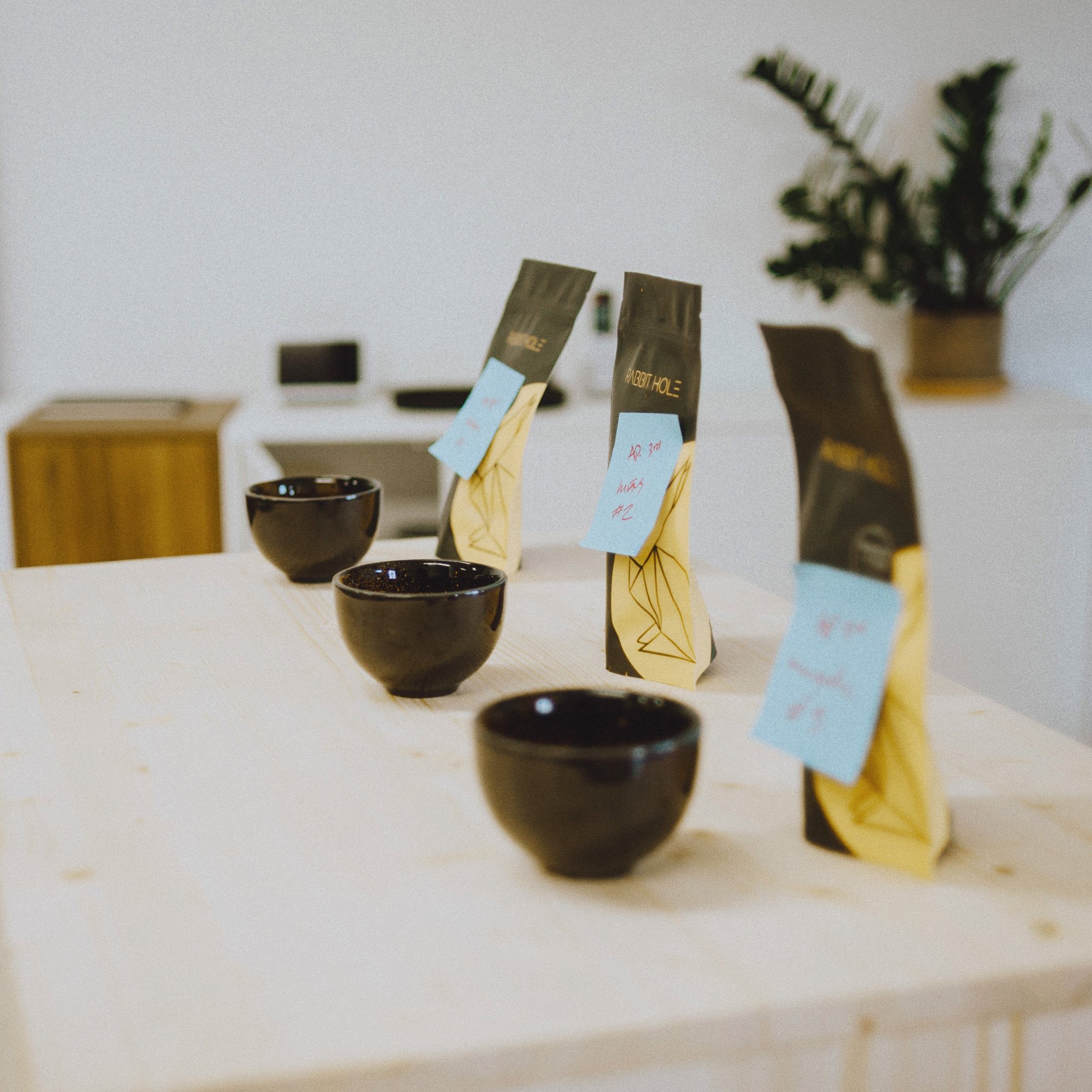 Beyond Tasting 101 : Basics to Sensory