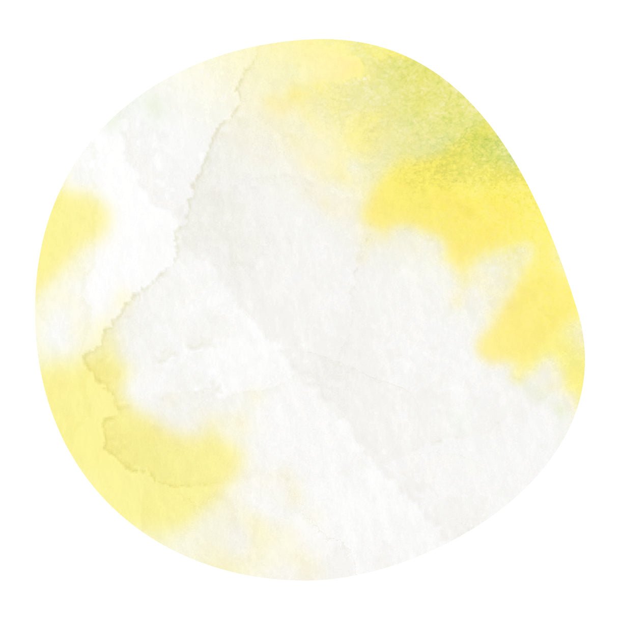 【NEW】JOSE ELANDIO -Catuai- / Costa Rica