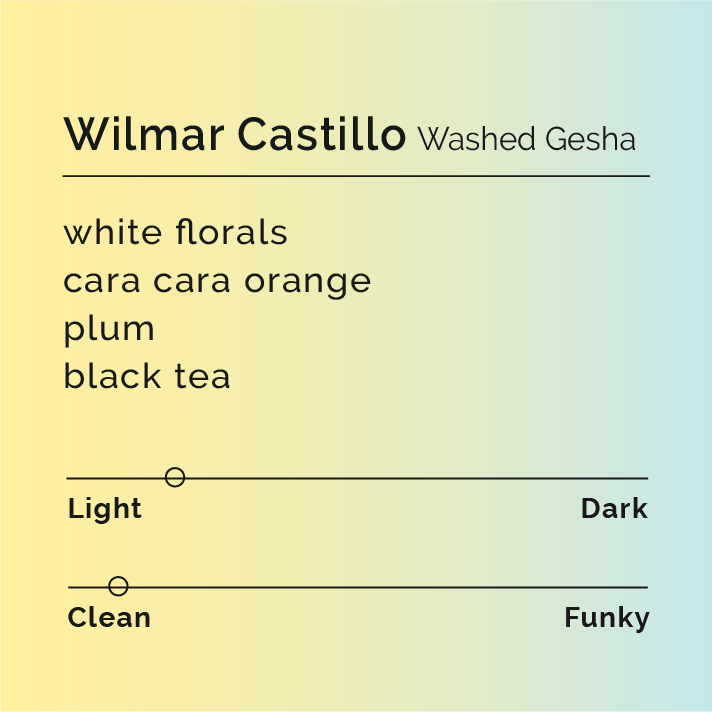 Wilmar Castillo - Washed Gesha