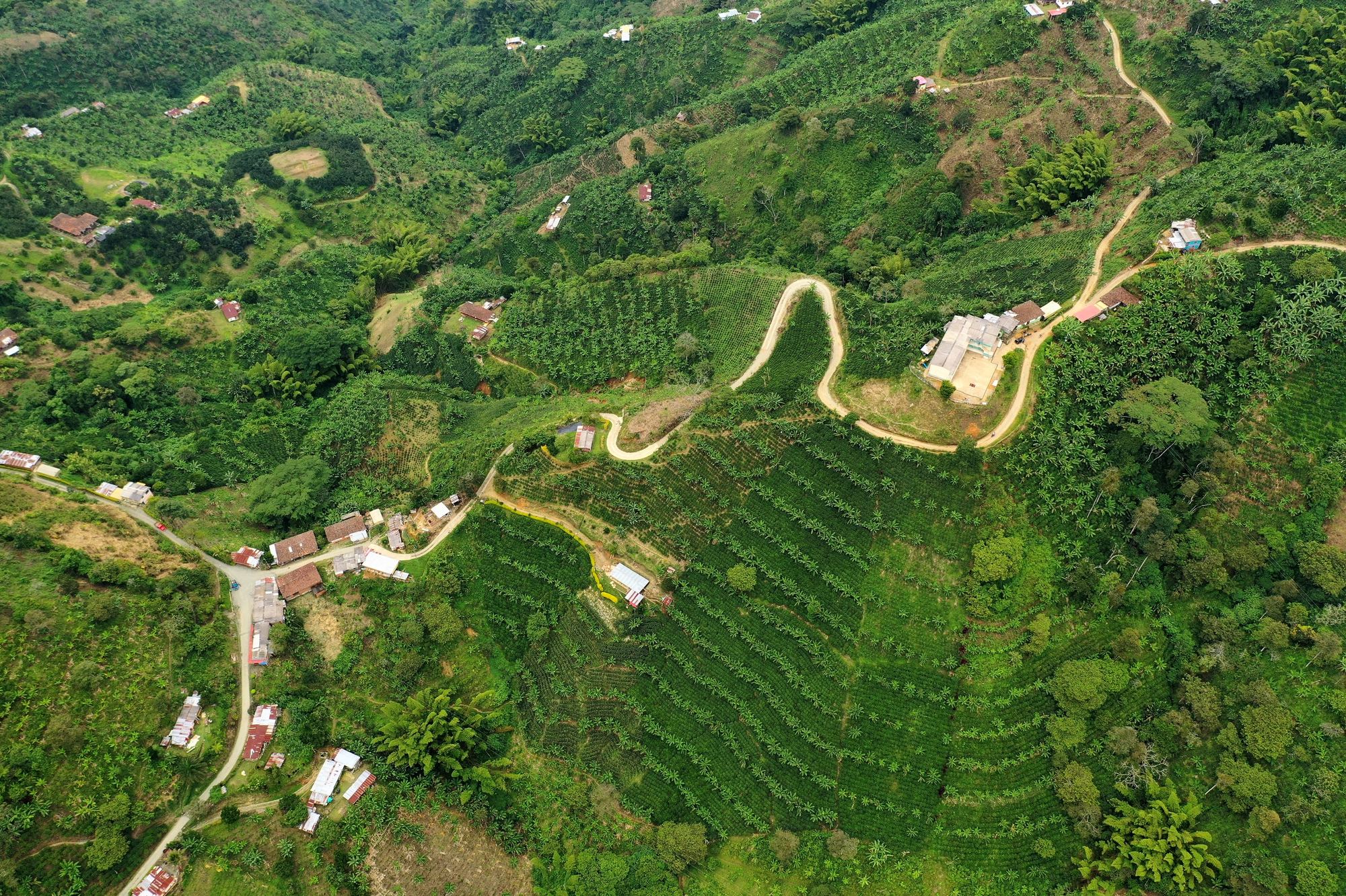 Colombia Chapata Natural - Earthquake Relief