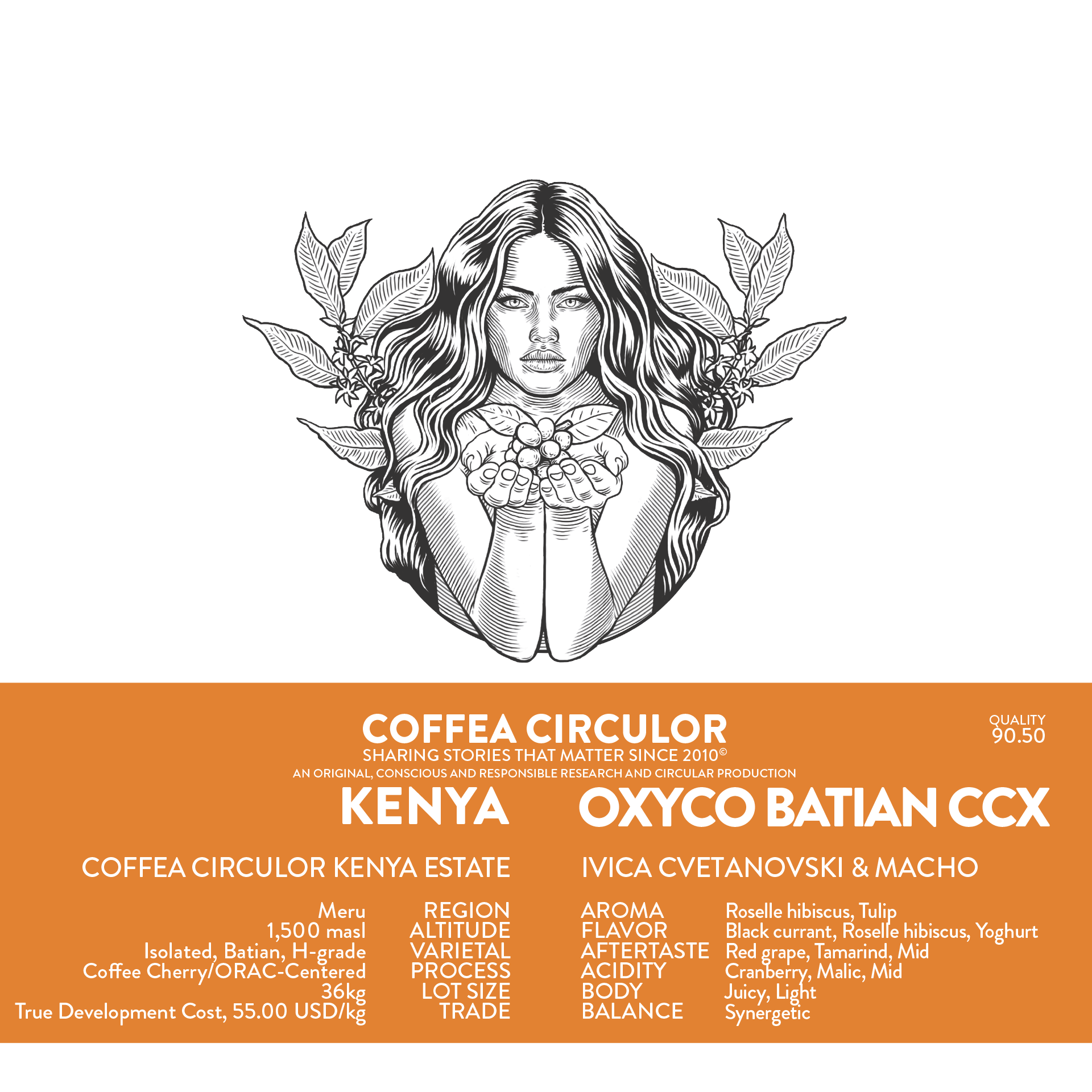 KENYA Coffea Circulor Oxyco Isolated Batian Coffee Cherry CCX