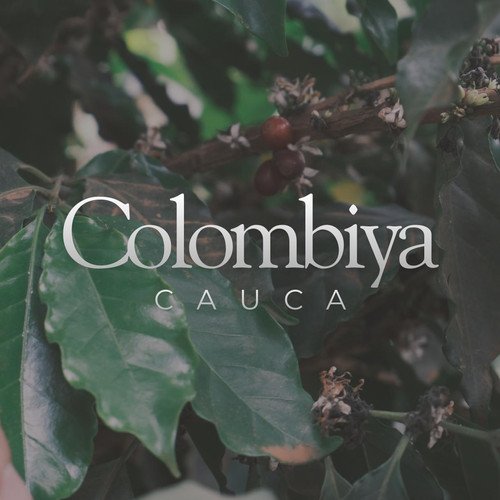 Colombia Cauca Omni Roast