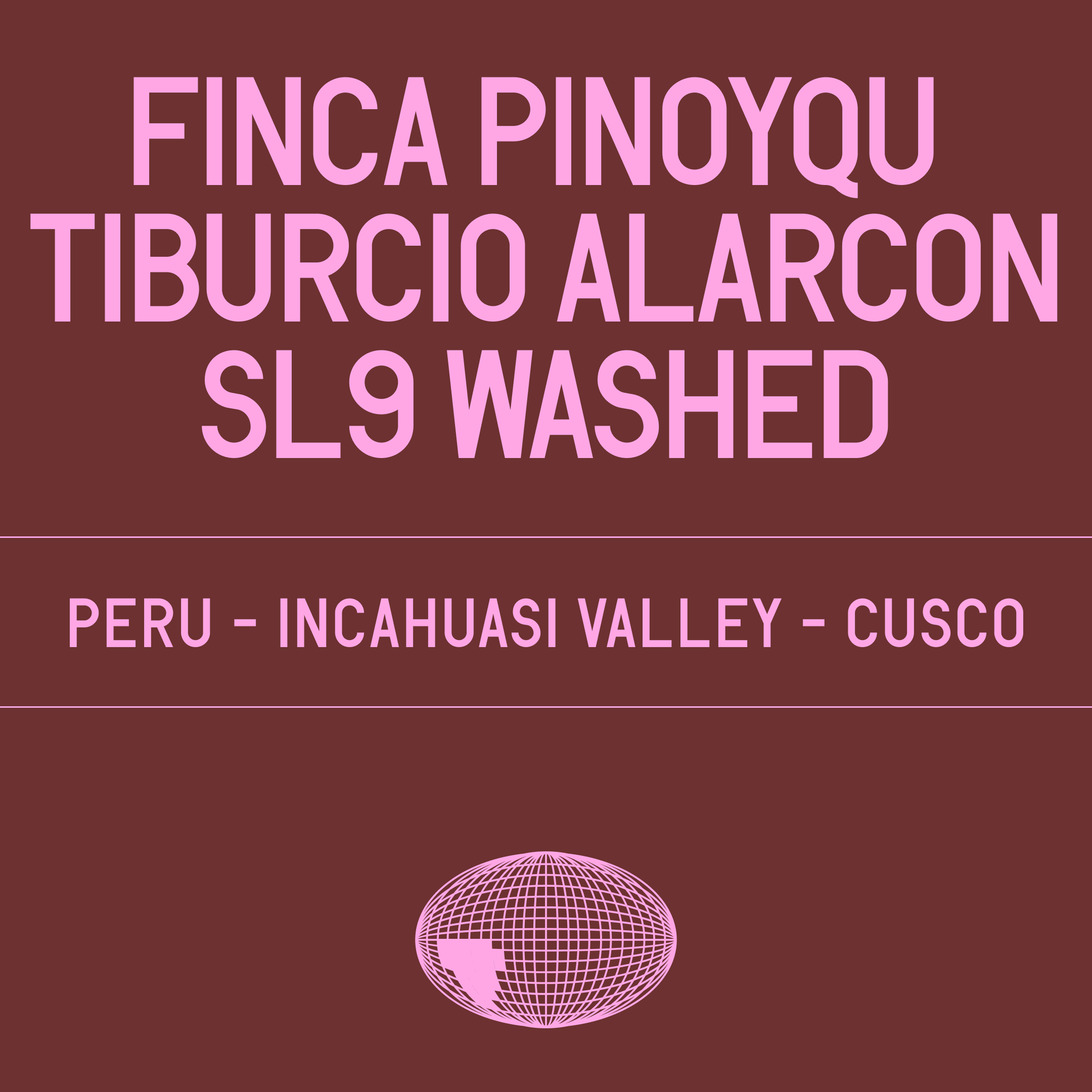 Finca Pinoyqu - Tiburcio Alarcon SL9 Washed