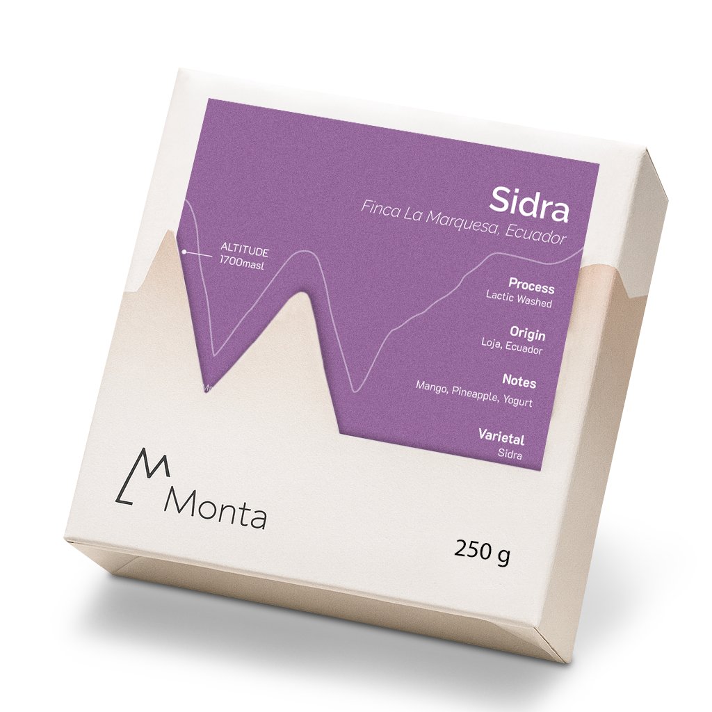 Monta x Xbloom Secret Stash - Ximena Leon