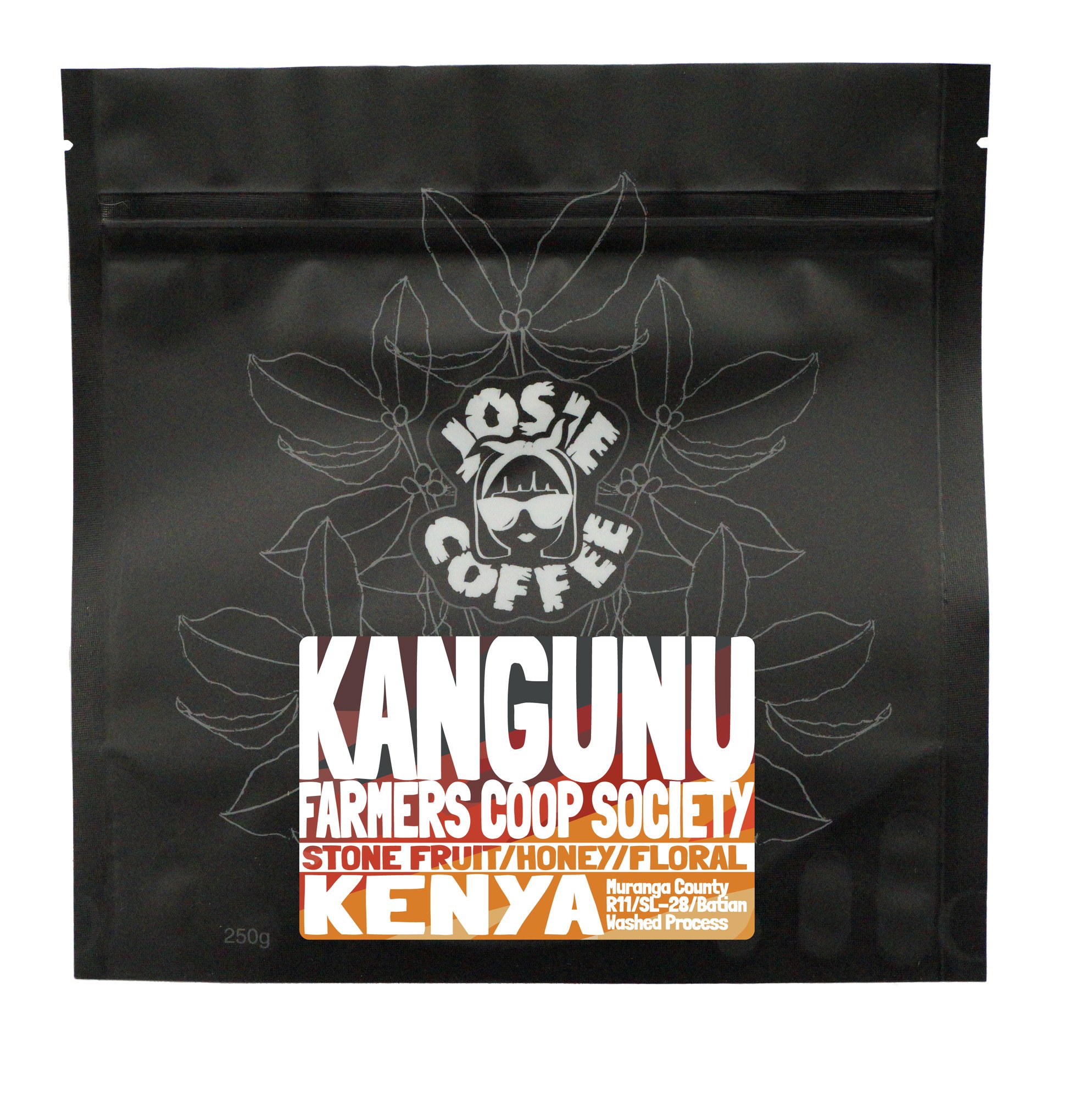 Kenya - Kangunu AA - Washed