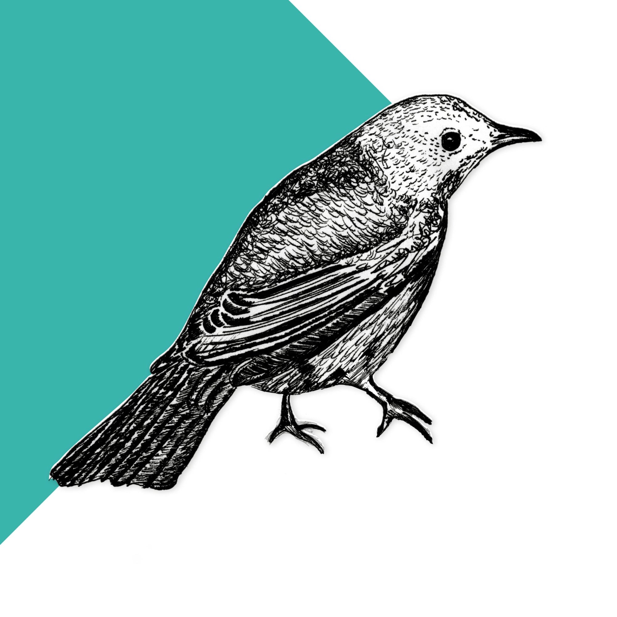 Nightingale
