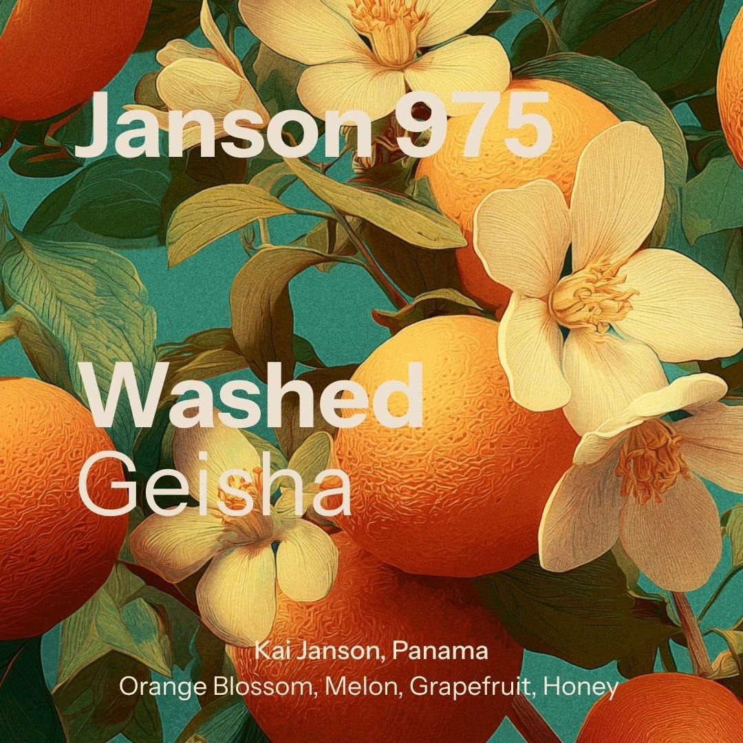 Janson Alpes - Geisha Washed 975 - Chiriqui (Panama)
