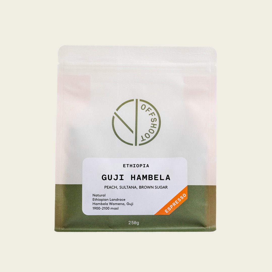 Guji Hambela