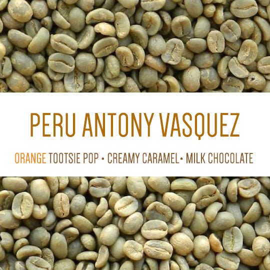 Peru Antony Vasquez Washed GREEN BEANS