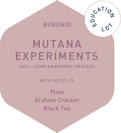 Mutana Experements - 60hr Anaerobic Process - Education Lot - 2021