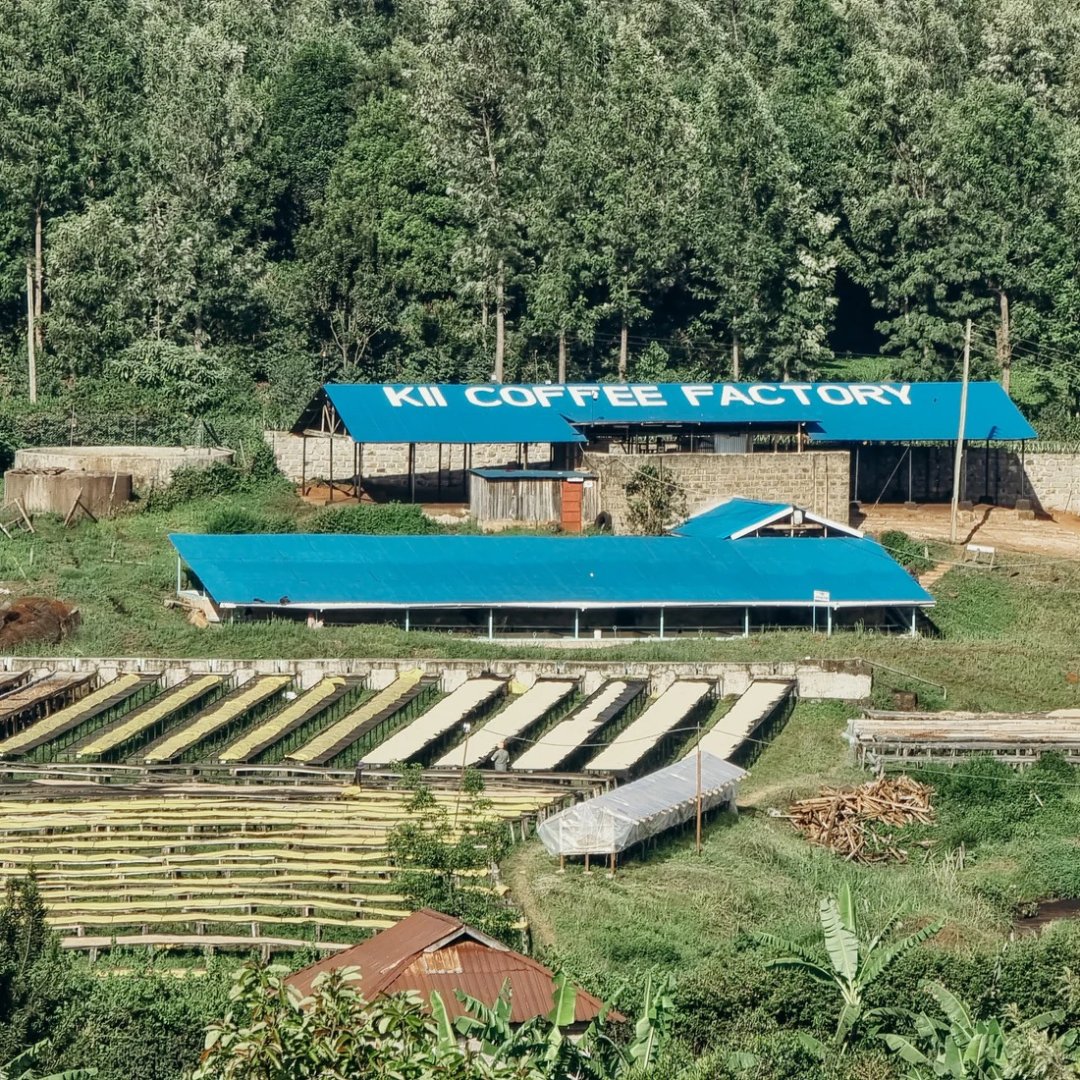 Kenya Rungeto Kii AA