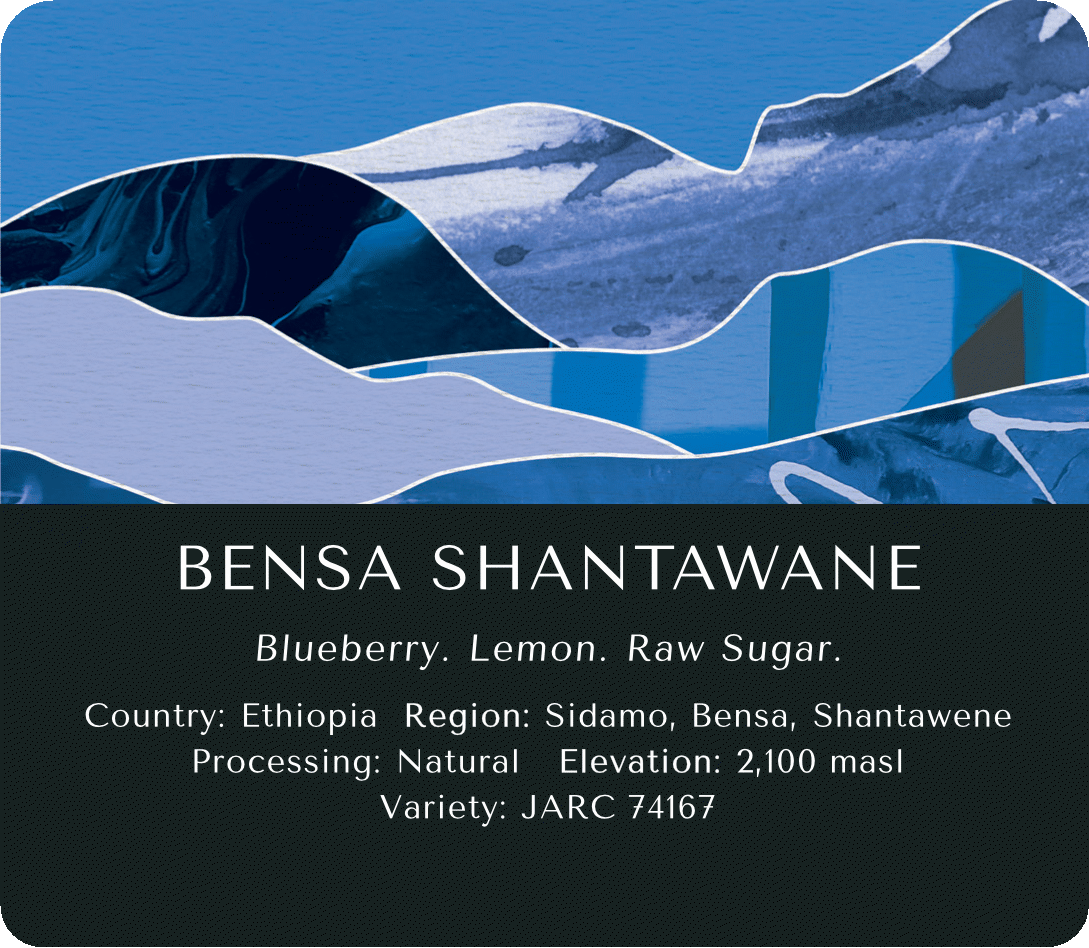 Bensa Shantawane (Natural) - Ethiopia