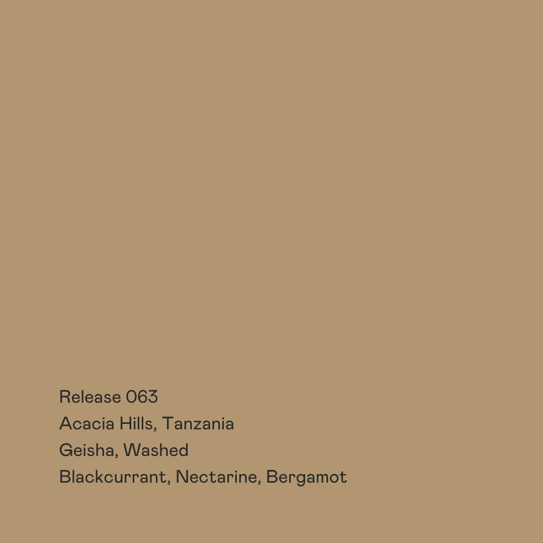 Release 063 - Acacia Hills, Gesha Washed