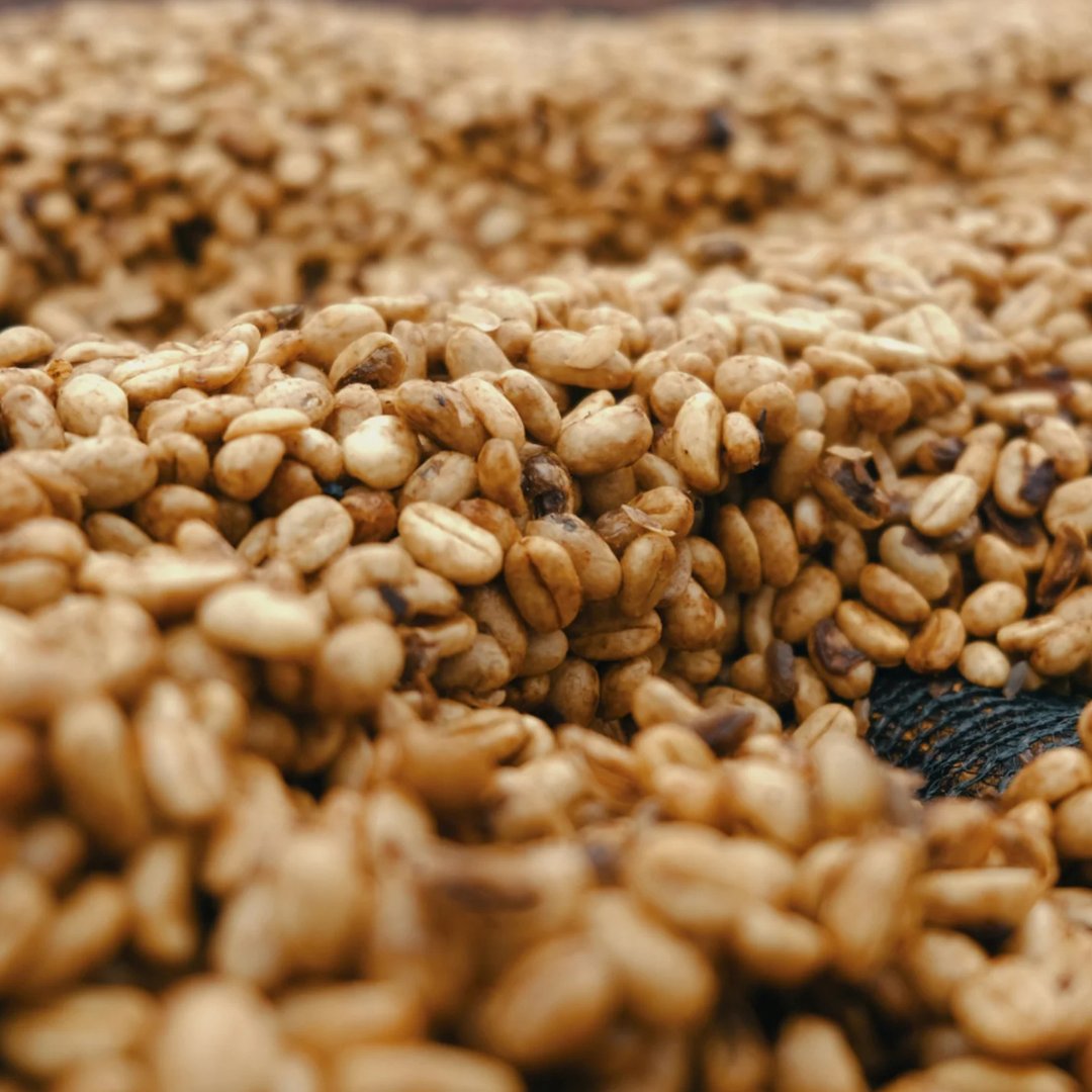 Ethiopia Dimtu Wate Red Honey