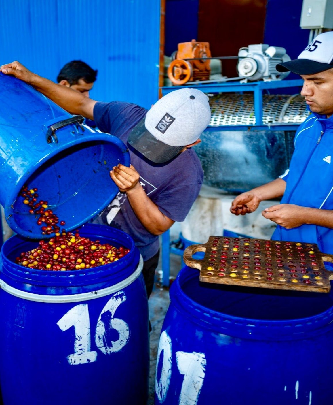 Colombia Colombia La Cereza Pink Bourbon Anaerobic Natural Espresso