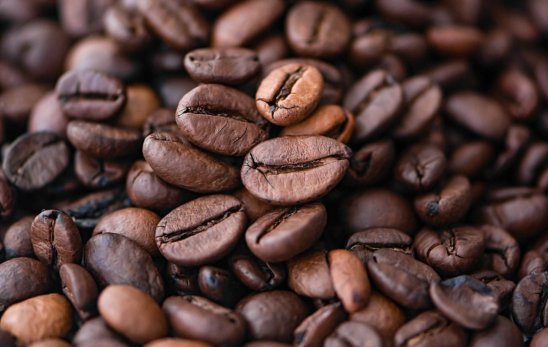 Pipeline Cafe' Blend (wholesale)