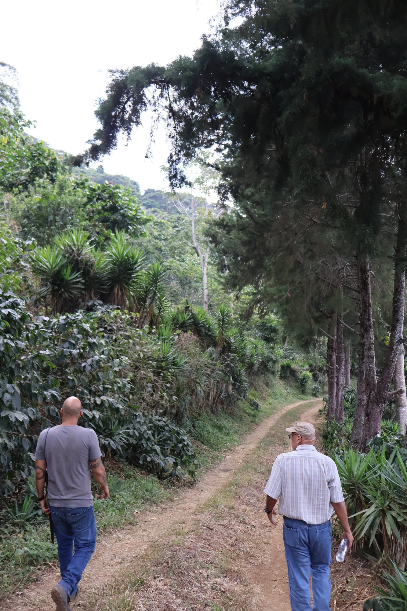 Miravalles Castillo, El Salvador