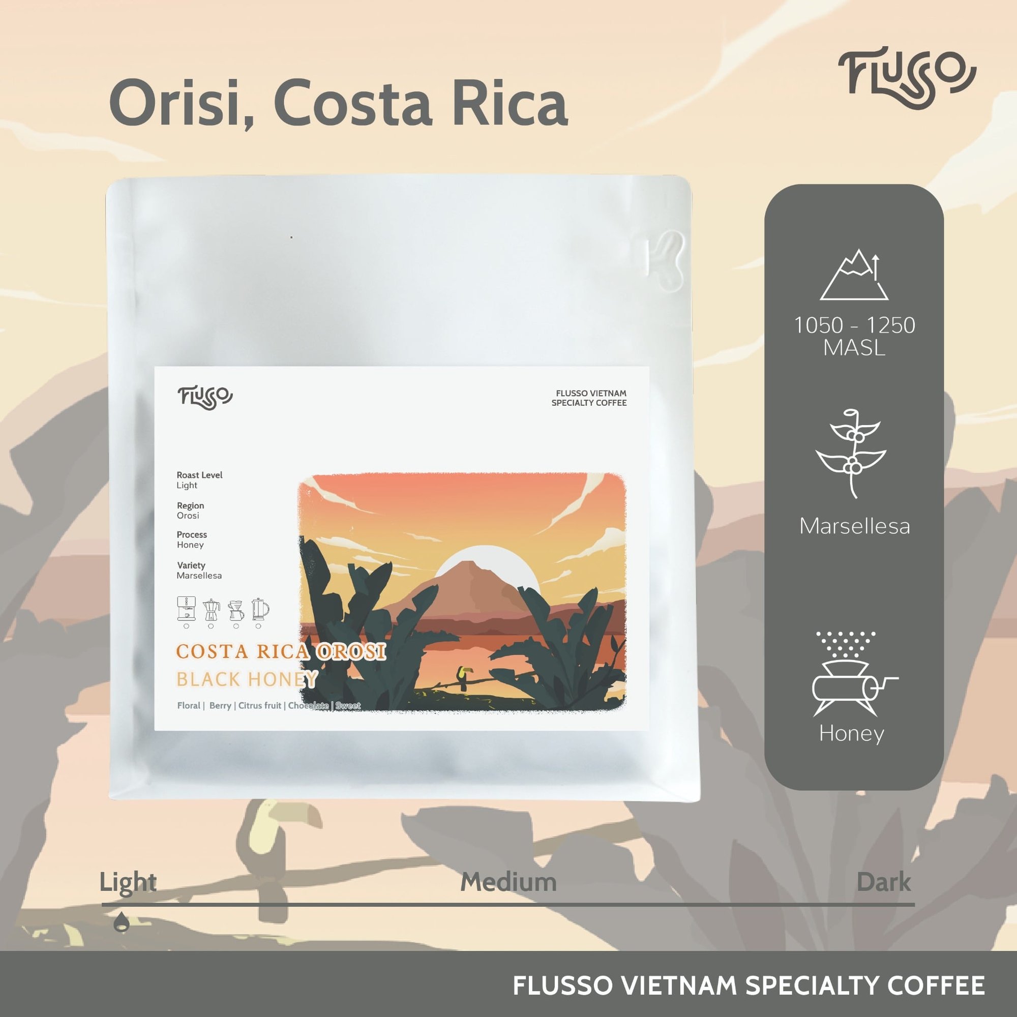 Costa Rica Orosi Black Honey