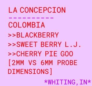 La Concepcion