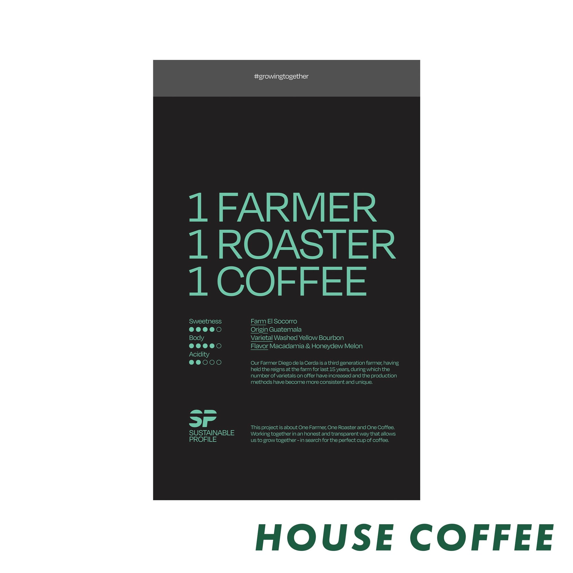 Sustainable Profile Guatemala