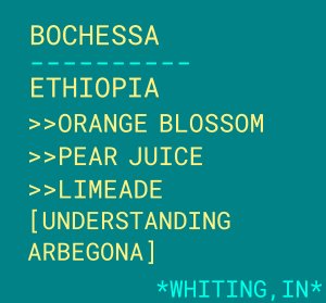 Bochessa