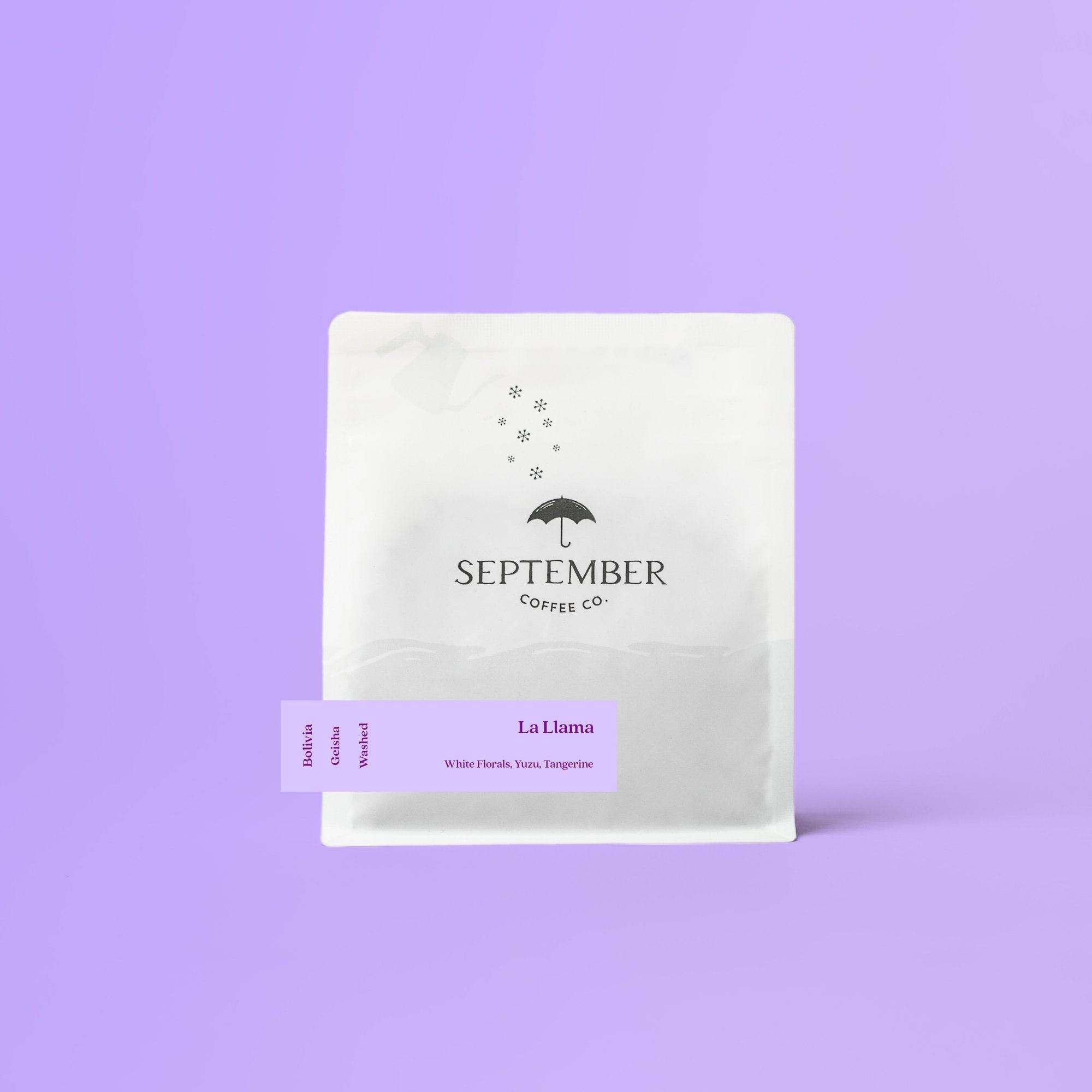 Finca La Llama - Bolivia Geisha (Extra-Light)