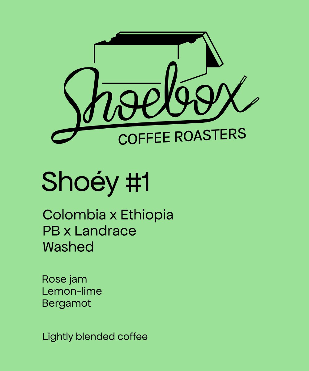 Shoéy #1