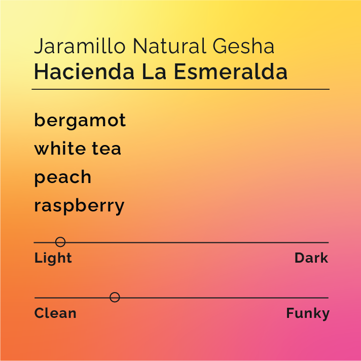 Hacienda La Esmeralda - Jaramillo Natural Gesha
