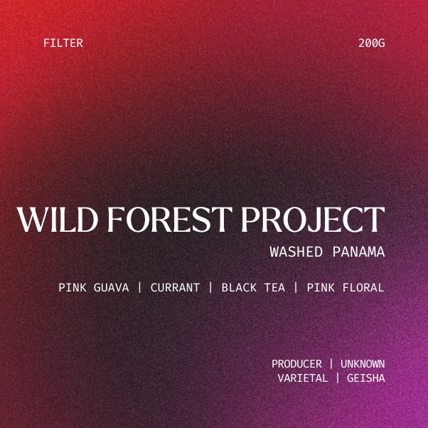 Filter | Wild Forest Geisha Project, Panama